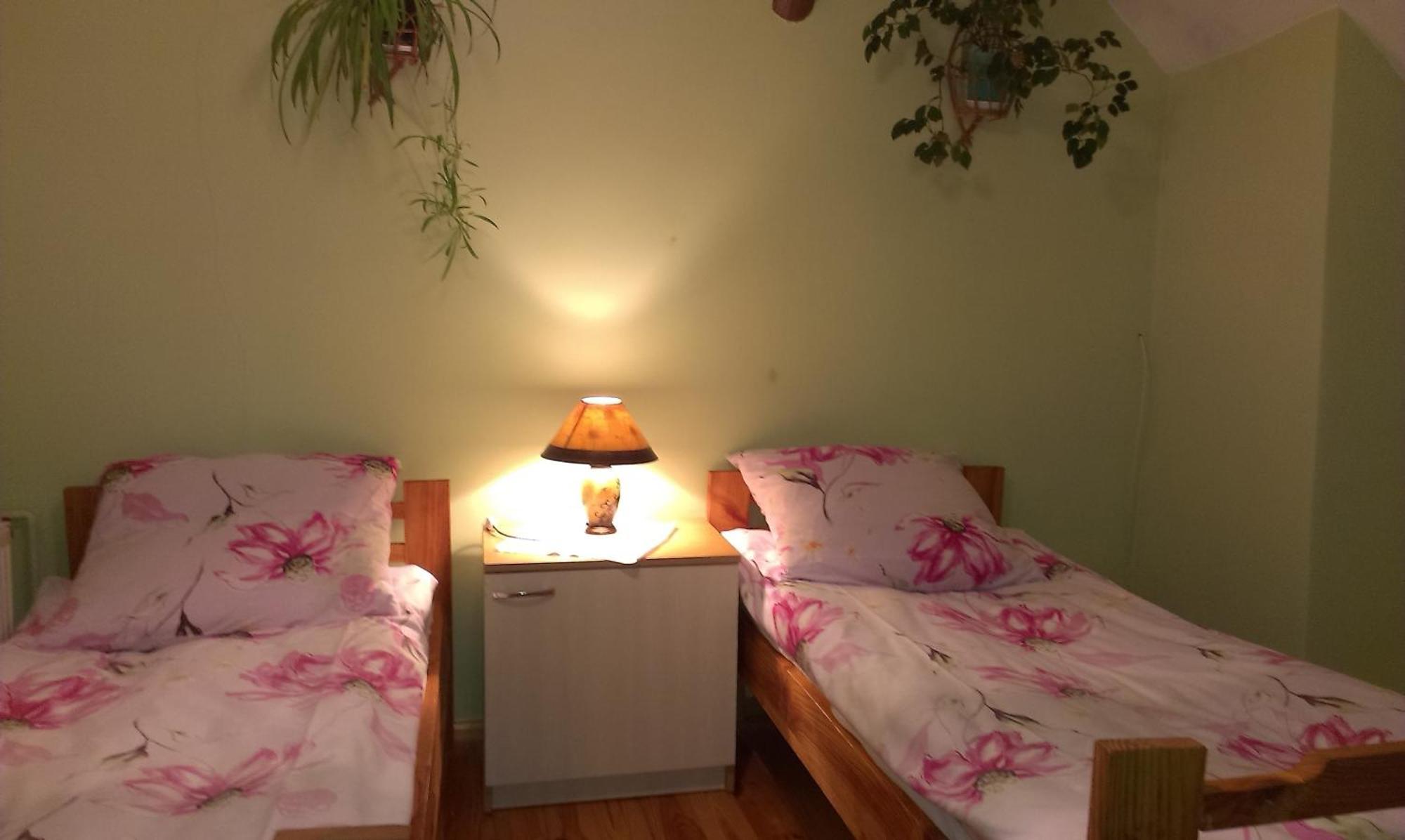 Agro-Tur Domki W Szuwarach Kuty 部屋 写真